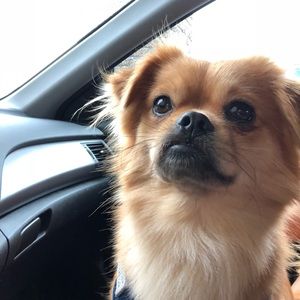 Meet your Posher, Brooklyn